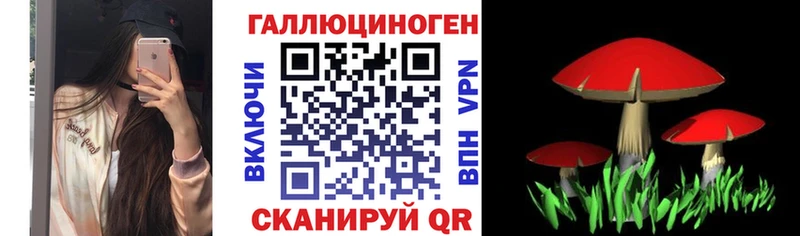 Псилоцибиновые грибы мицелий  Нижняя Тура 